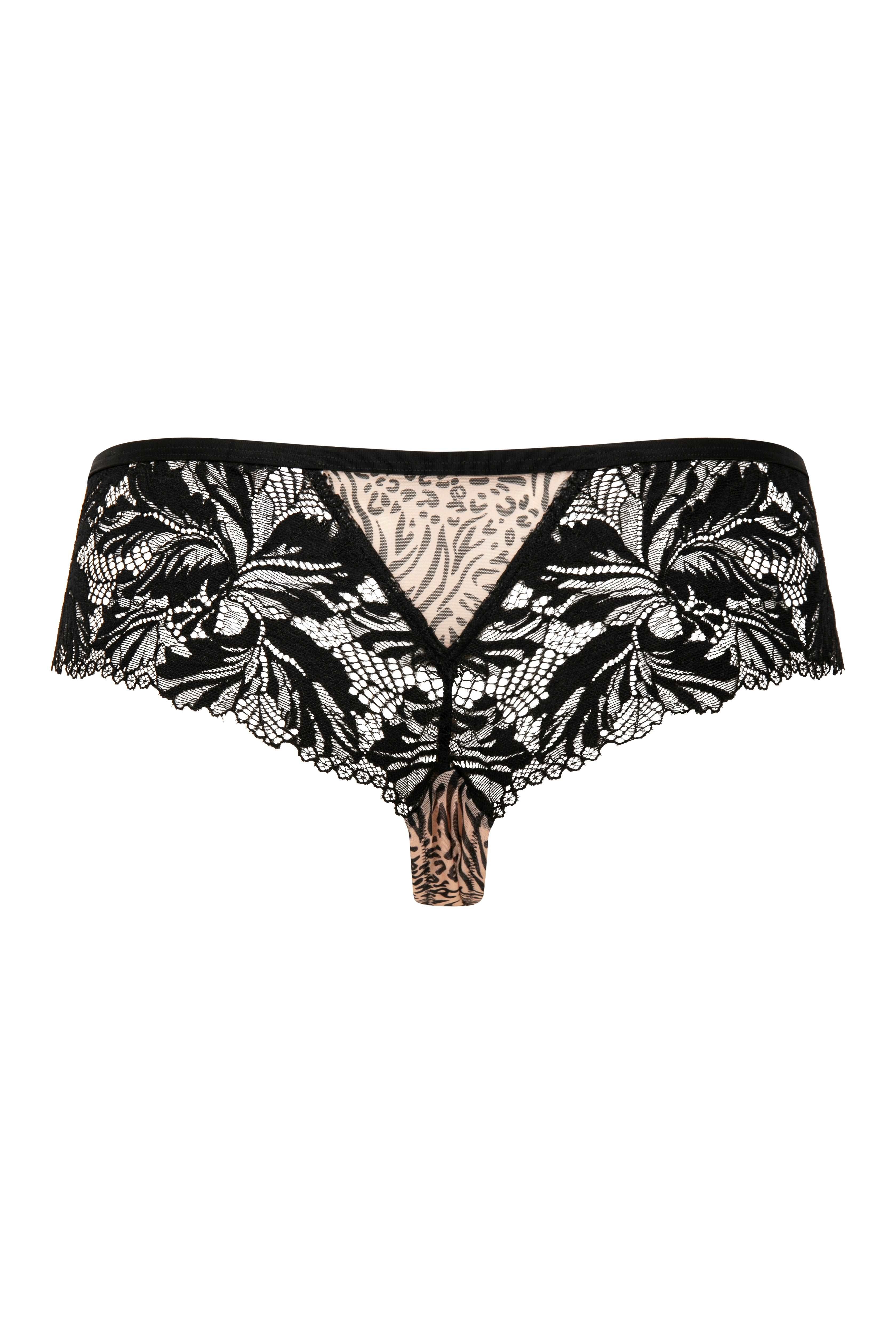 Chilot brazilian Caresse Feline